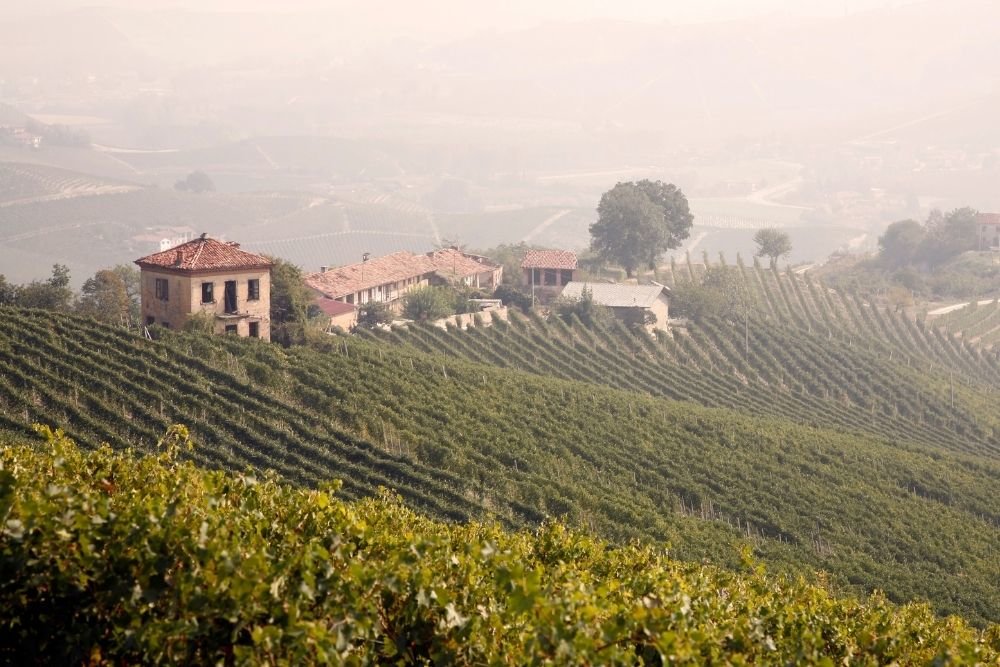 The Soul of Piemontese Wine